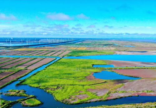 去世界遗产地滩玩儿还你一个未曾走远的童年