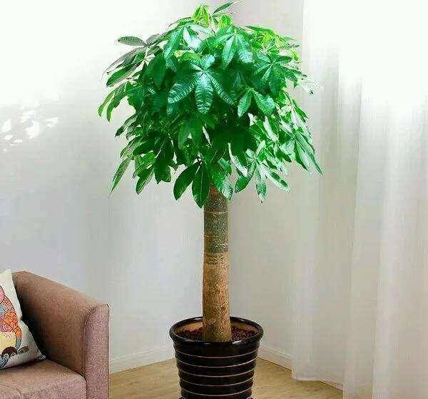fe3876e529e8463f8866be6b2671c228.jpeg