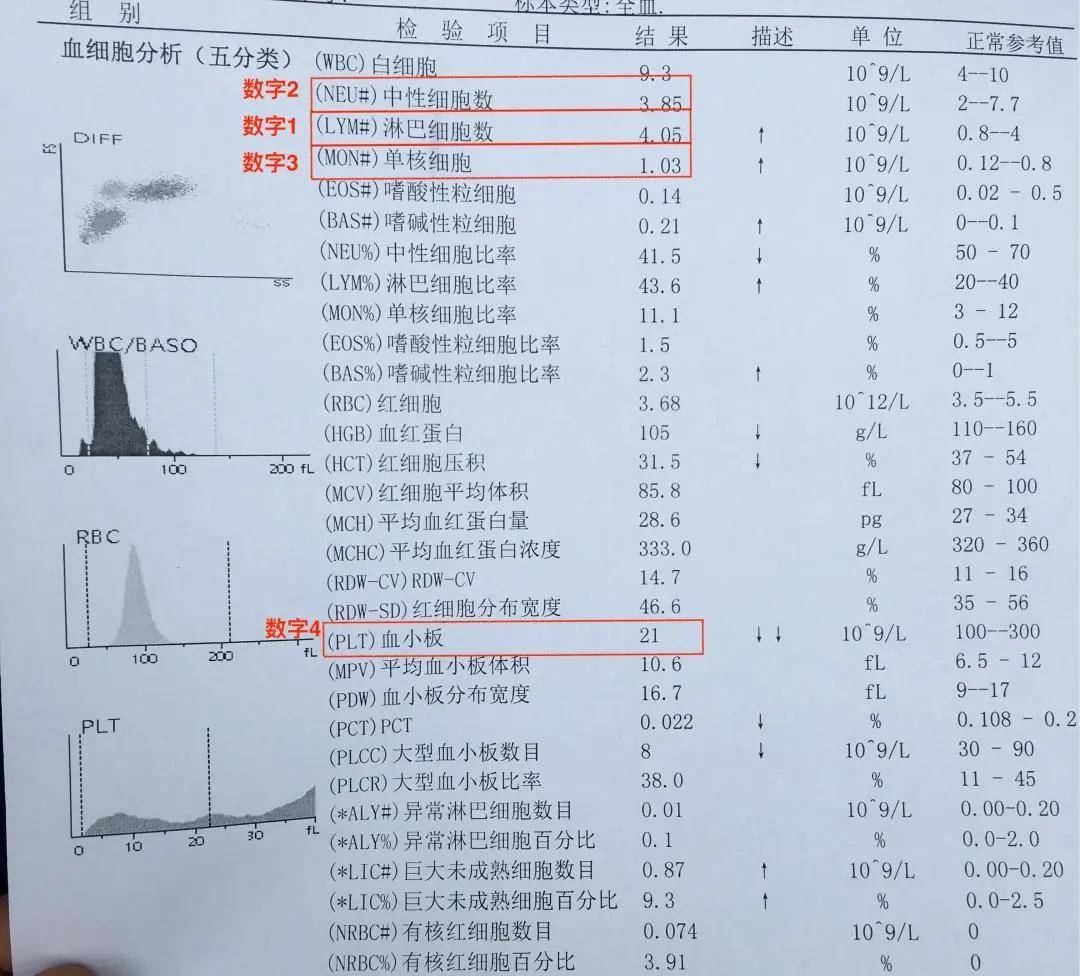 中性粒細胞絕對值(neu)數字1:淋巴細胞絕對值(lym)先找出這幾項(下圖