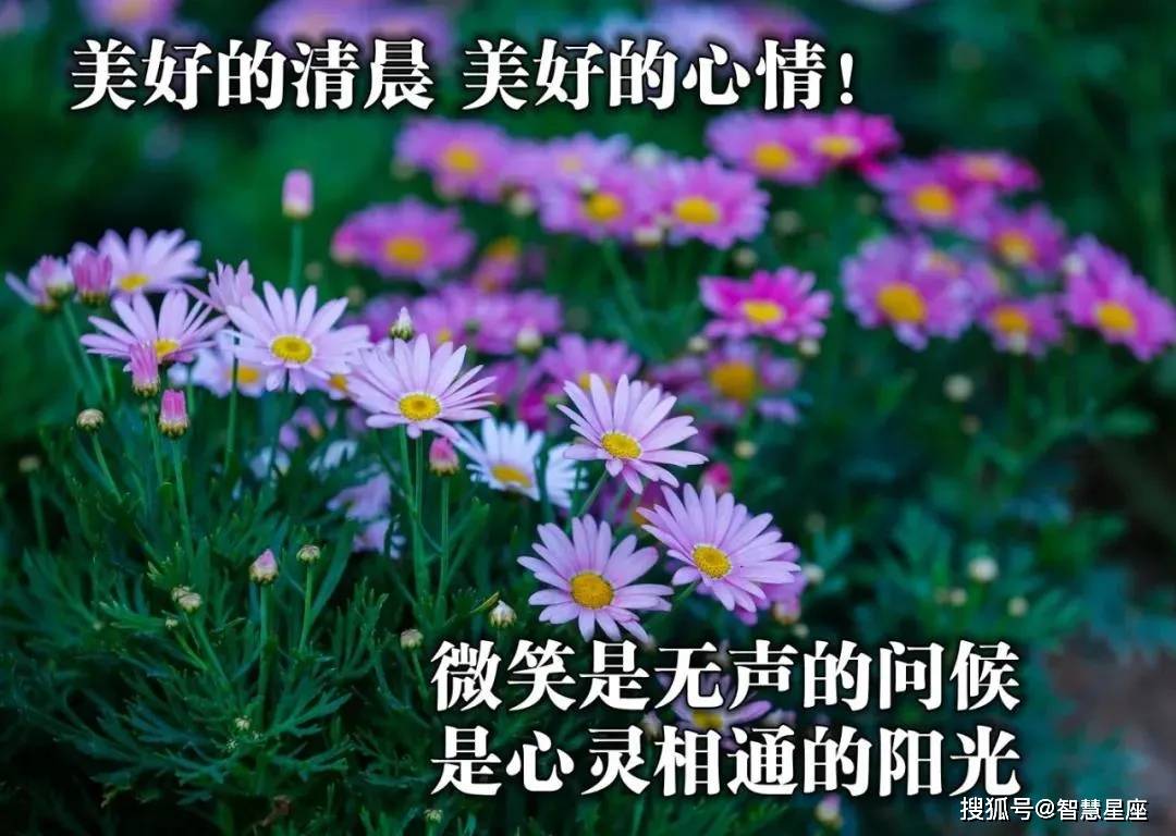 春天的气息早安图片图片