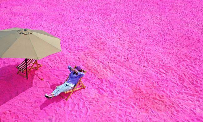 湖北襄阳迎来首个粉色沙滩5月1日起在鱼梁洲薰衣草庄园盛大迎客