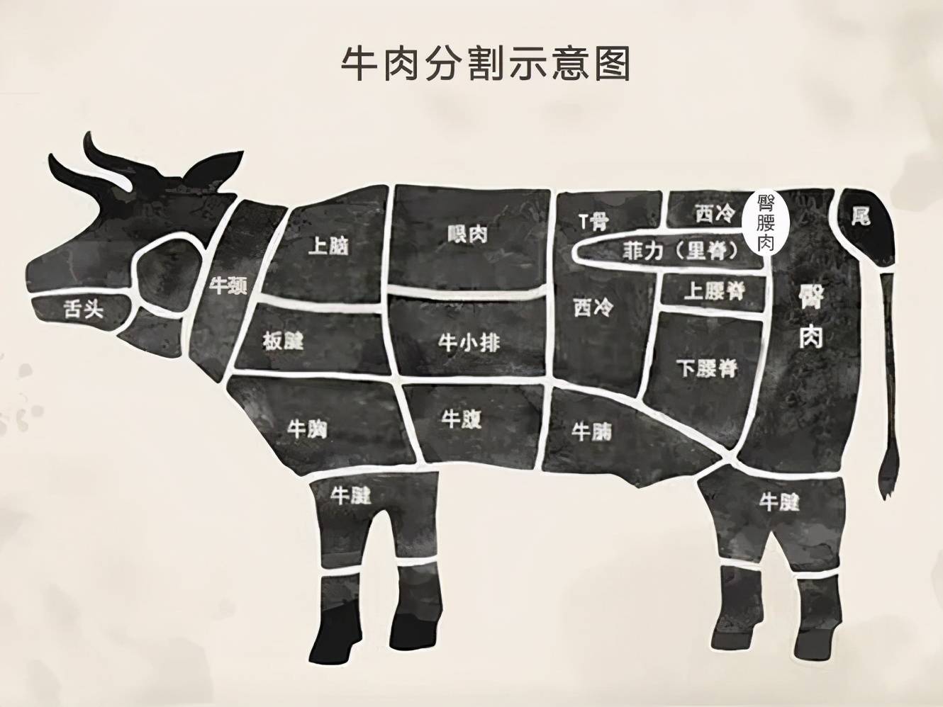 牛肉的分割图设计图__其他_广告设计_设计图库_昵图网nipic.com