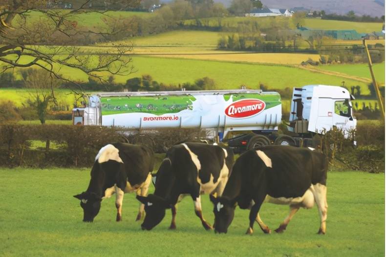 艾恩摩尔专业奶油,为烘焙增添"奶味"草饲新灵感_glanbia