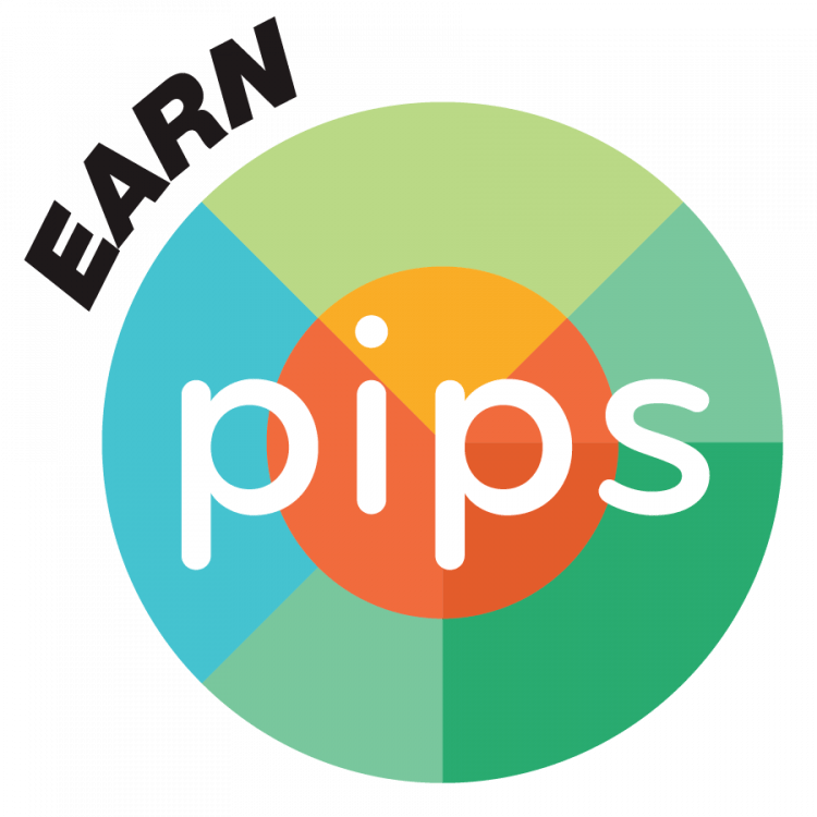 学前班第8课外汇交易中的点是什么