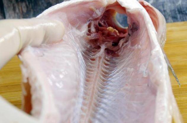 去掉"鱼腥线"鱼就不腥了?很多人都错了,其实这4处才是腥味源
