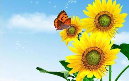 原创4属相喜从天降好运大涨成功指日可待身边人羡慕不断