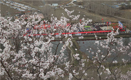 鸡西市鸡冠区举办第十一届杏花山文化旅游节