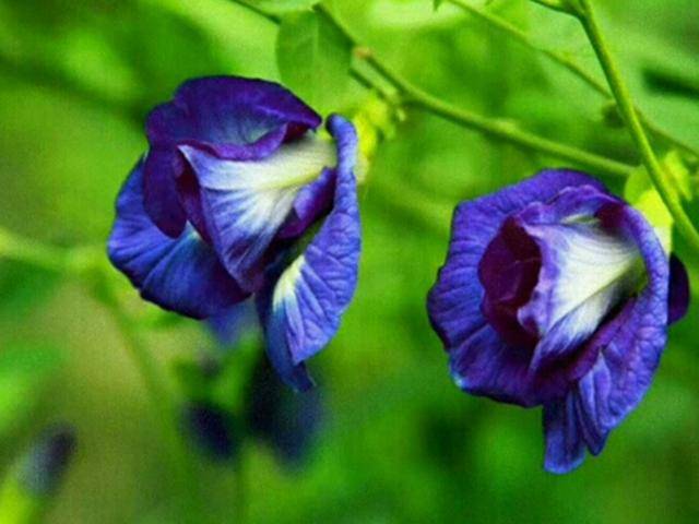 637caca085a549bfb80cbd445a67a94d.jpeg