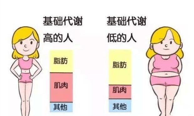 64862bd57d344621a14bdd0a417bdcb4.png