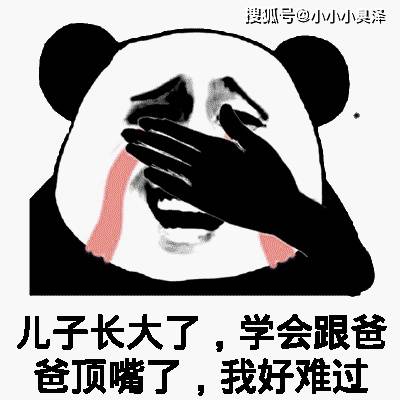 428ff5e11c06418aa50a8fa39c492089.jpeg