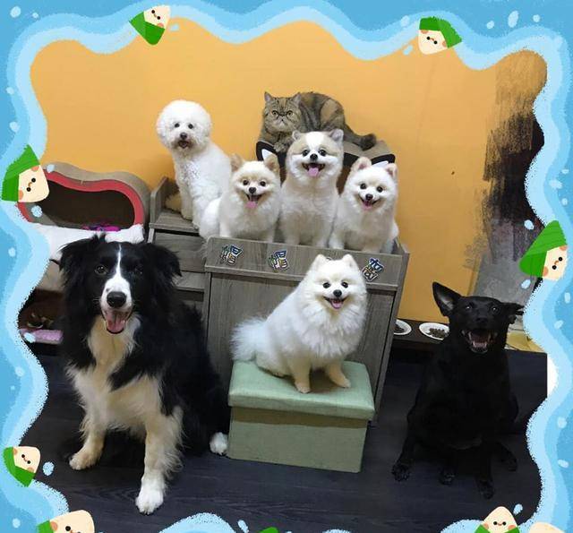 84d57f3c1e3c45929d8029f75f60bdf2.jpeg