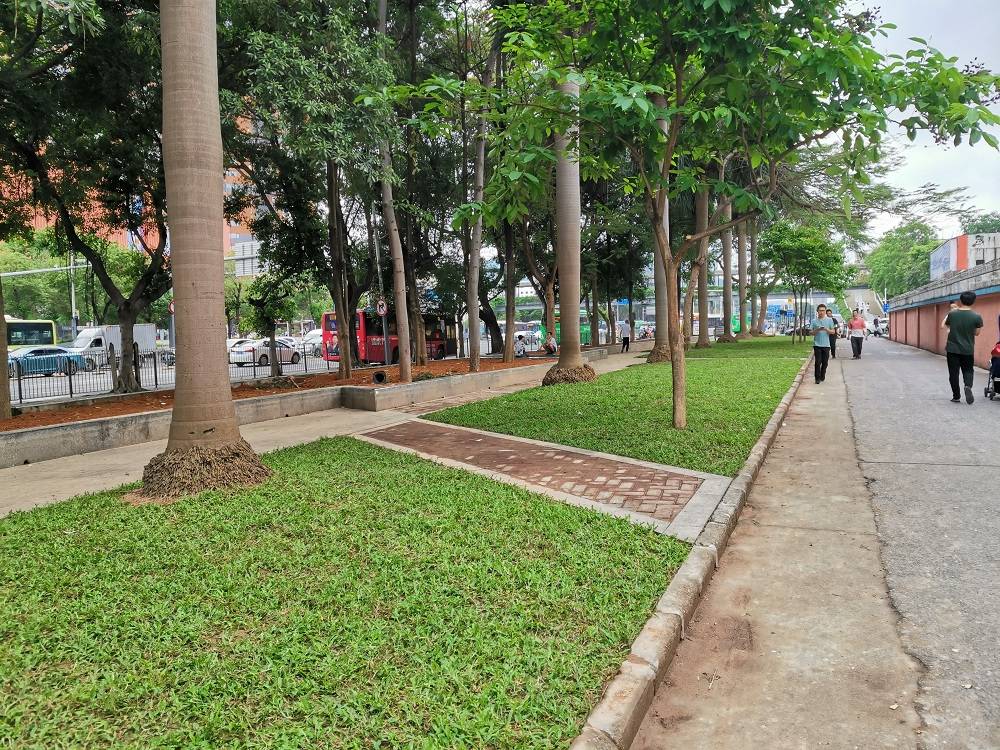 深圳龍華:街區一角的變化,讓我憶起初來深圳睡公園的情景_工作