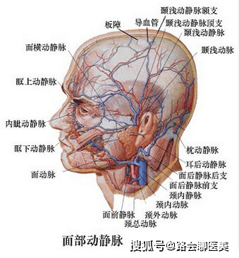 72b8f5abd63f4b77b5def3d74db04682.png