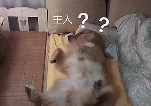 aefa41e798464b4c94d34c1380f56e02.jpeg