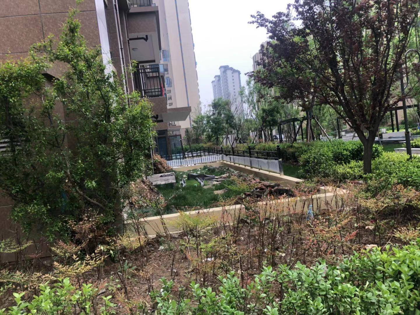 碧桂园出事了 业主：花费一生积蓄入了一个五星级的坑(图3)