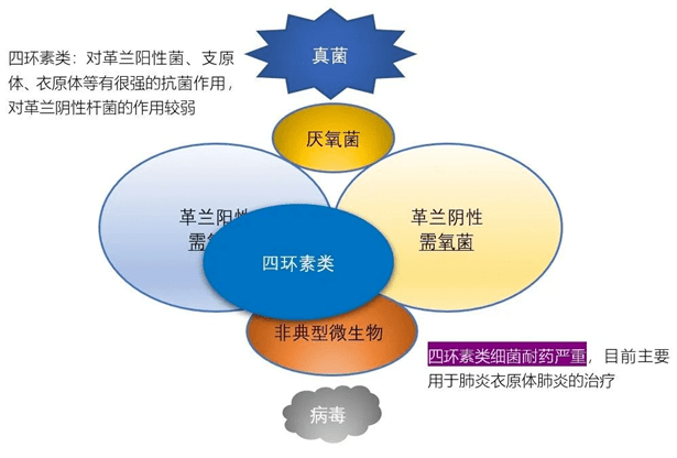 500ef5ddcbf5416686edff2be88de3d9.png