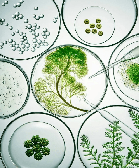 科学|第二届盖茨汉普最新科研成果发布会暨科学高峰论坛大幕将启