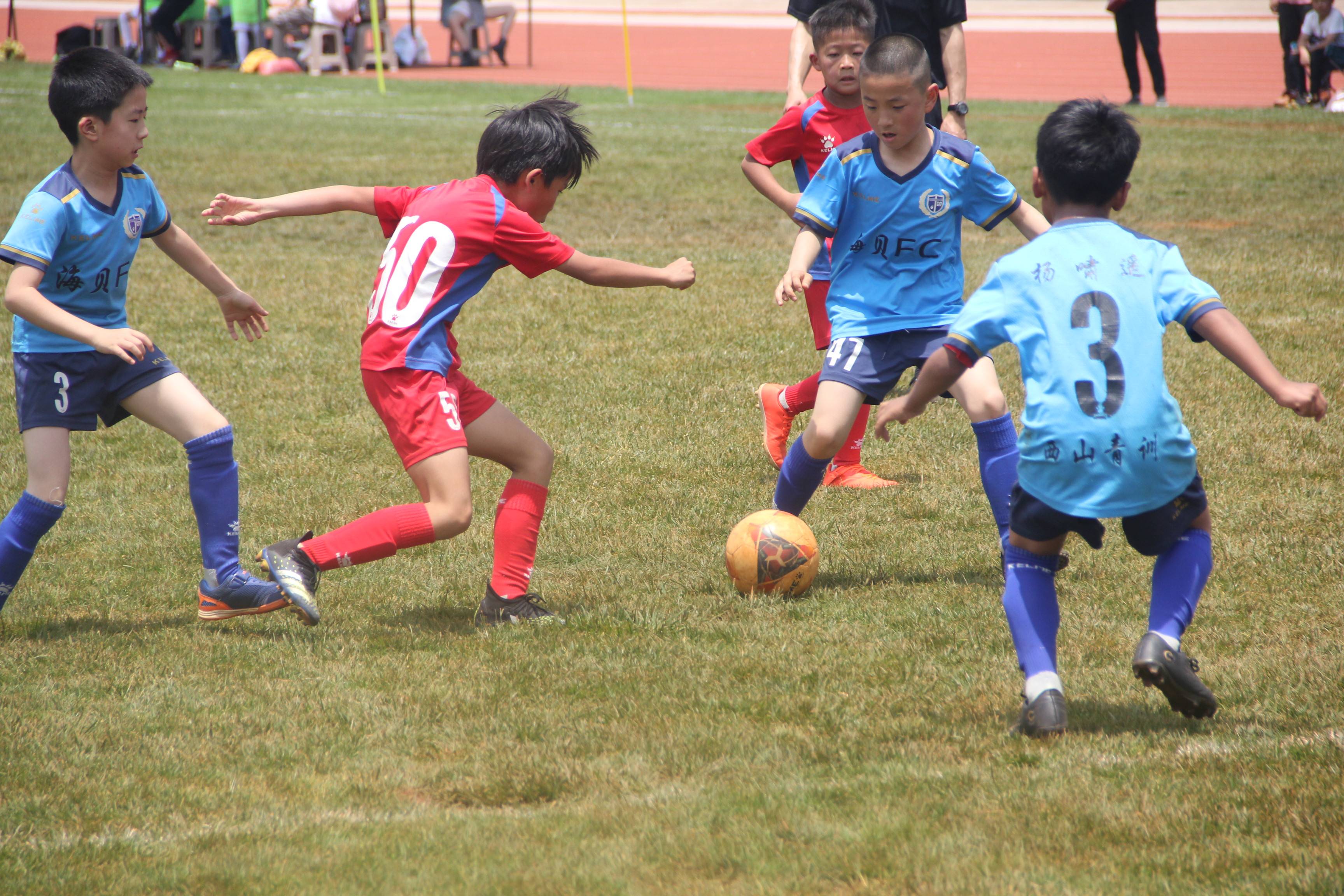石林县体育服务中心协办的2021年昆明市小学生"奋进杯"足球比赛为期8