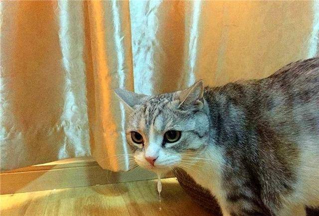 3ceef44624ce40bebaf970739cfcc094.jpeg