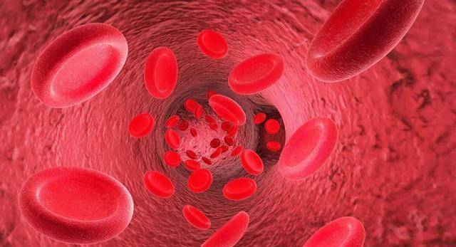 平常人可以吃六味地黄丸嘛 ae819059dedc4d32b53d4b3b99e273eb.jpeg