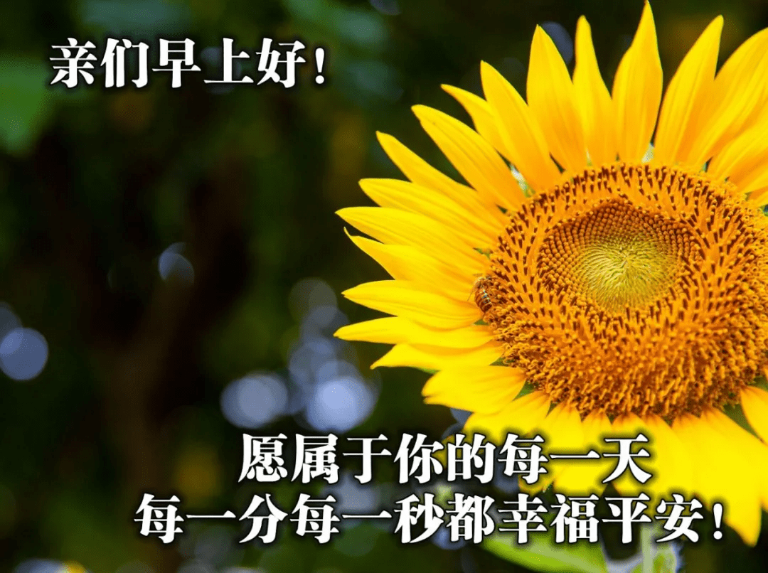 唯美暖心早安动态祝福图片 满满祝福的早安心语祝福美图