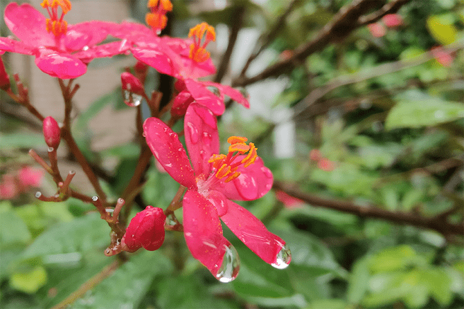 该游戏|OPPO A95 5G手机体验：A系列颜值担当，轻薄灵动