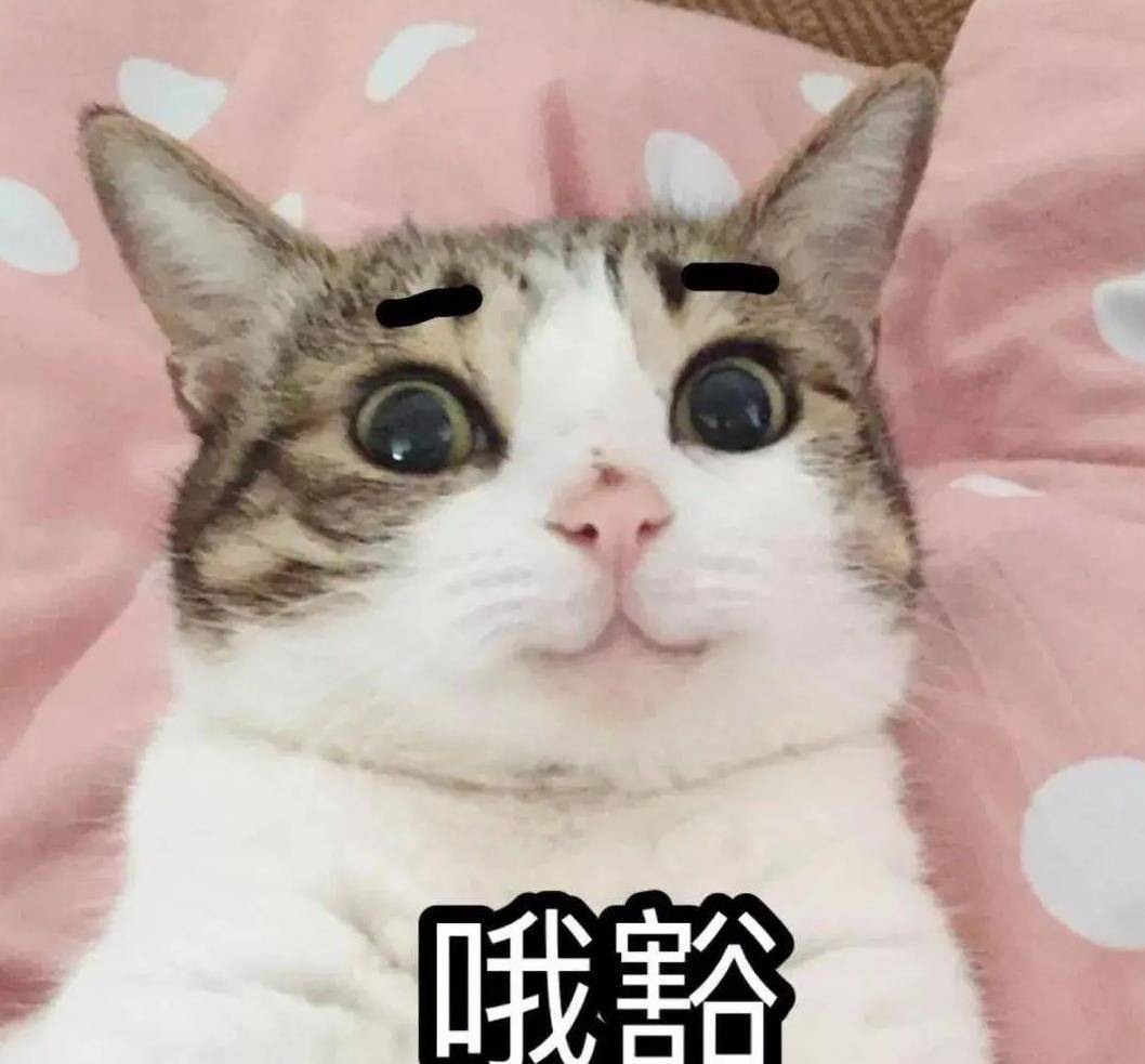 ca43805b677d4a25a08bd69c7fb0dc75.jpeg