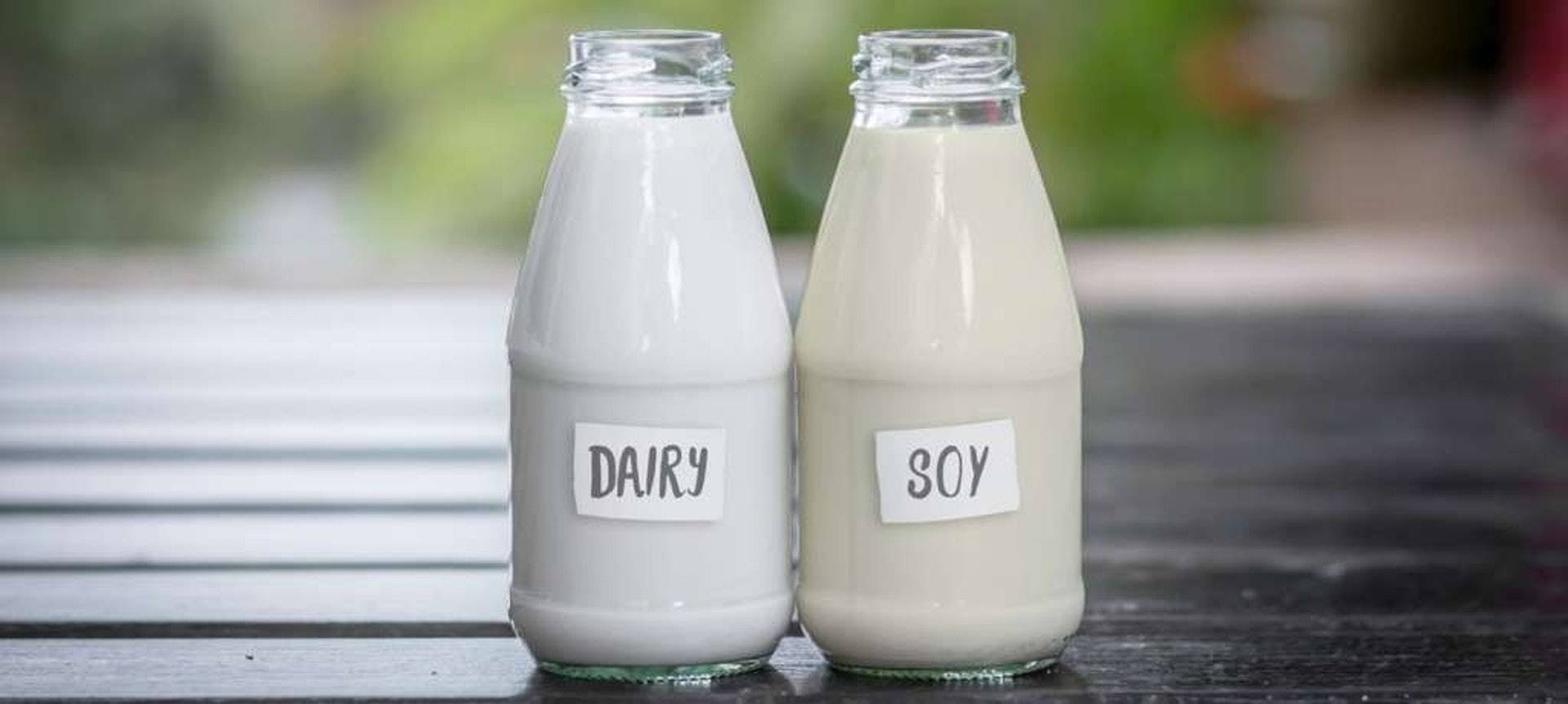  豆浆、牛奶和豆奶，哪个营养价值更高？想减肥，早上喝哪个更好？  豆奶和豆浆哪个有营养