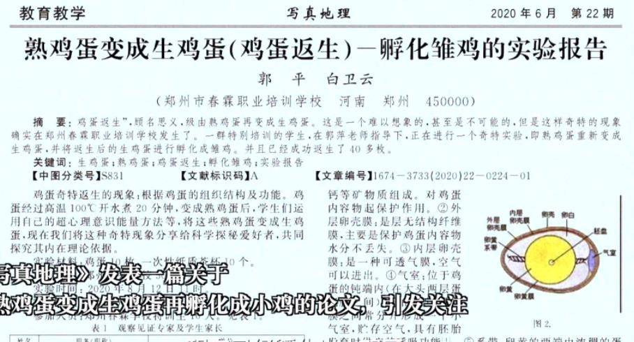 硕士论文研究情趣内衣被嘲不务正业(2)