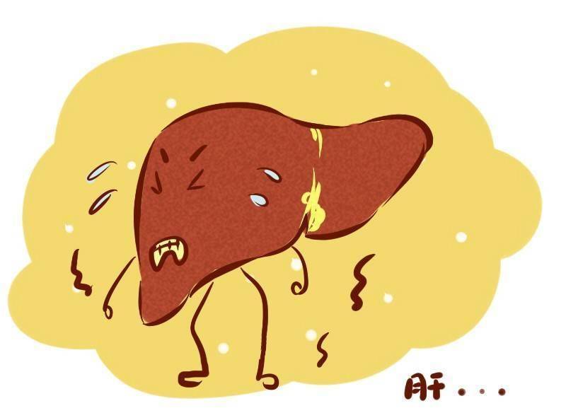 医院检查肝功能多少钱 a13b6fad243d41b9b1e0353b2afa4cdc.jpeg