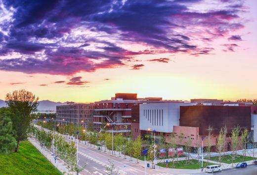 教学排行榜_最新发布2019中国一流学科排名,北大清华人大跻身前三甲