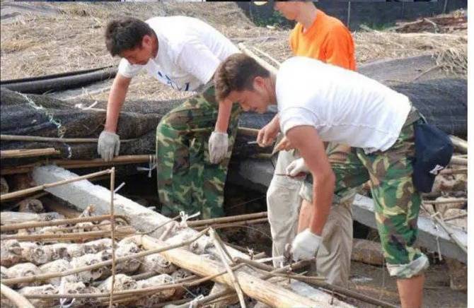 原创吴京汶川地震救灾照曝光扛箱搭篷出死力四鬓间被晒得流油淌汗