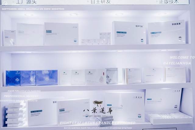 车水马龙的魅力之都您与我相遇在东方的明珠九妆八叶莲华