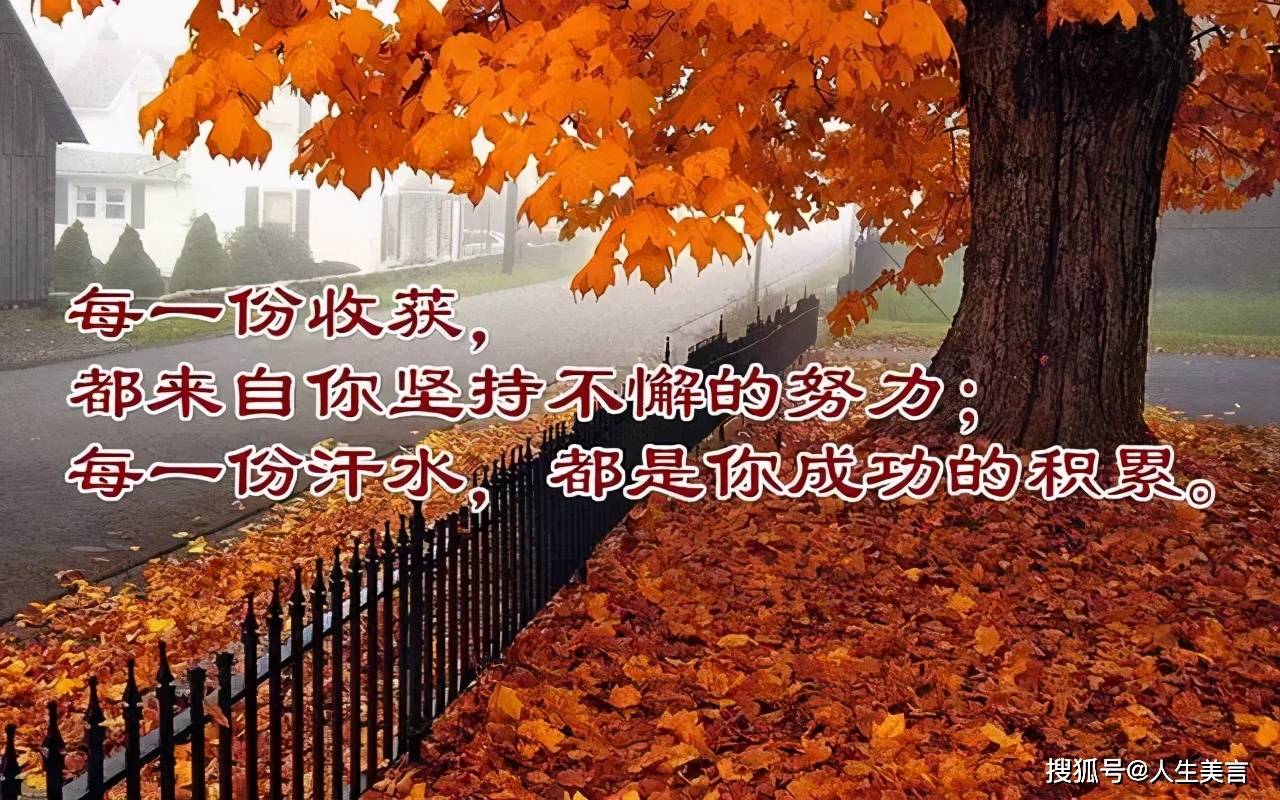 什么才算正能量 8f80b3ba58274ac0829ae57737be67d1.jpeg