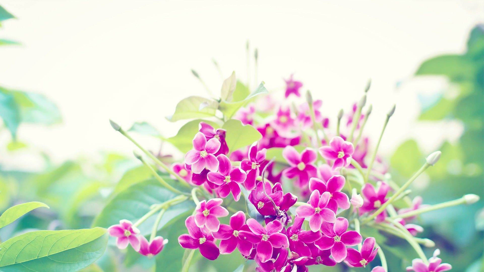 5月13日星座运势 如虎添翼 左右逢源的四大星座 生活