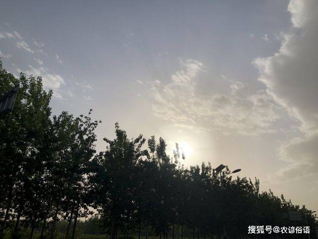 原创老话说：“女人若带滴泪痣，半生蹉跎泪涟涟”，什么是滴泪痣？