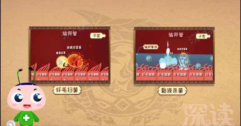 原创
输卵管炎咋来的?性生活过频、人流惹的祸?看动画教你做明白女人