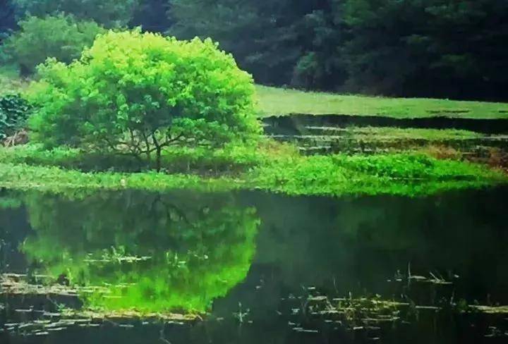 山青水秀好风光简谱_山青水秀好风光(3)