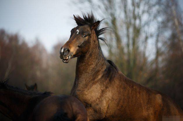 78年马几月份最好 830f518e55314912a49891348f7afd3b.jpeg