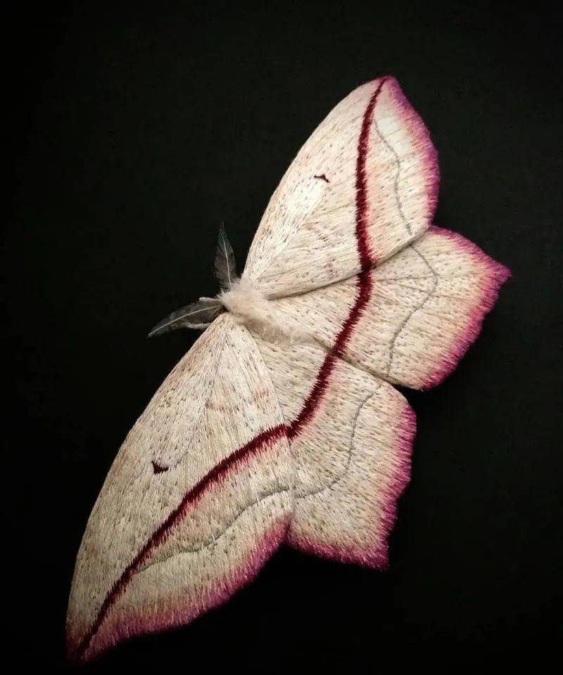 栩栩如生的蝴蝶雕塑像真的一样仿佛下一秒就要振翅飞走了