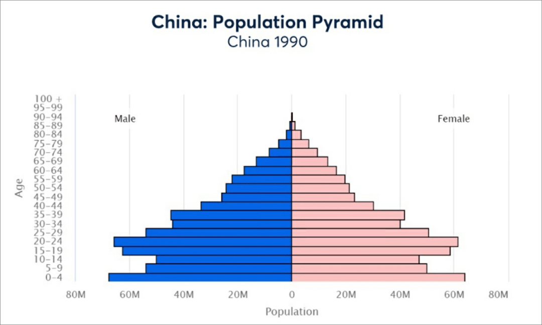 中国人口金字塔图2020怎么看_中国人口金字塔图(2)