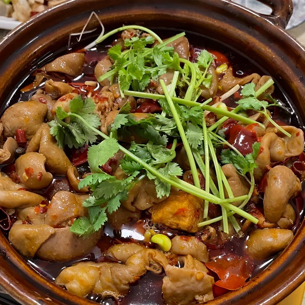 在深圳除了这6家我实在是想不出更好吃的肥肠煲了