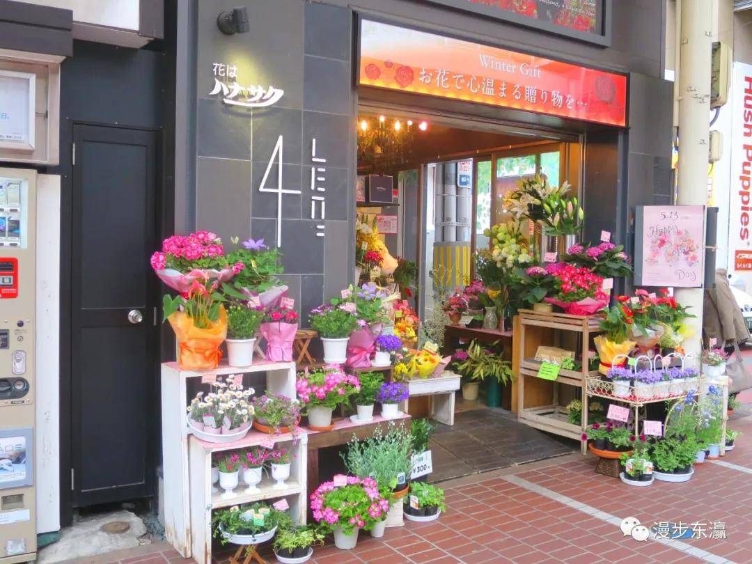 漫步日本东北都心仙台感受都市的繁华与四季的流变 樱花