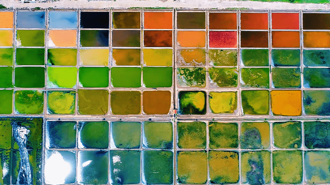 jiang)畔"七彩盐田""七彩盐田""七彩盐田""七彩盐田""七彩盐田"实景山