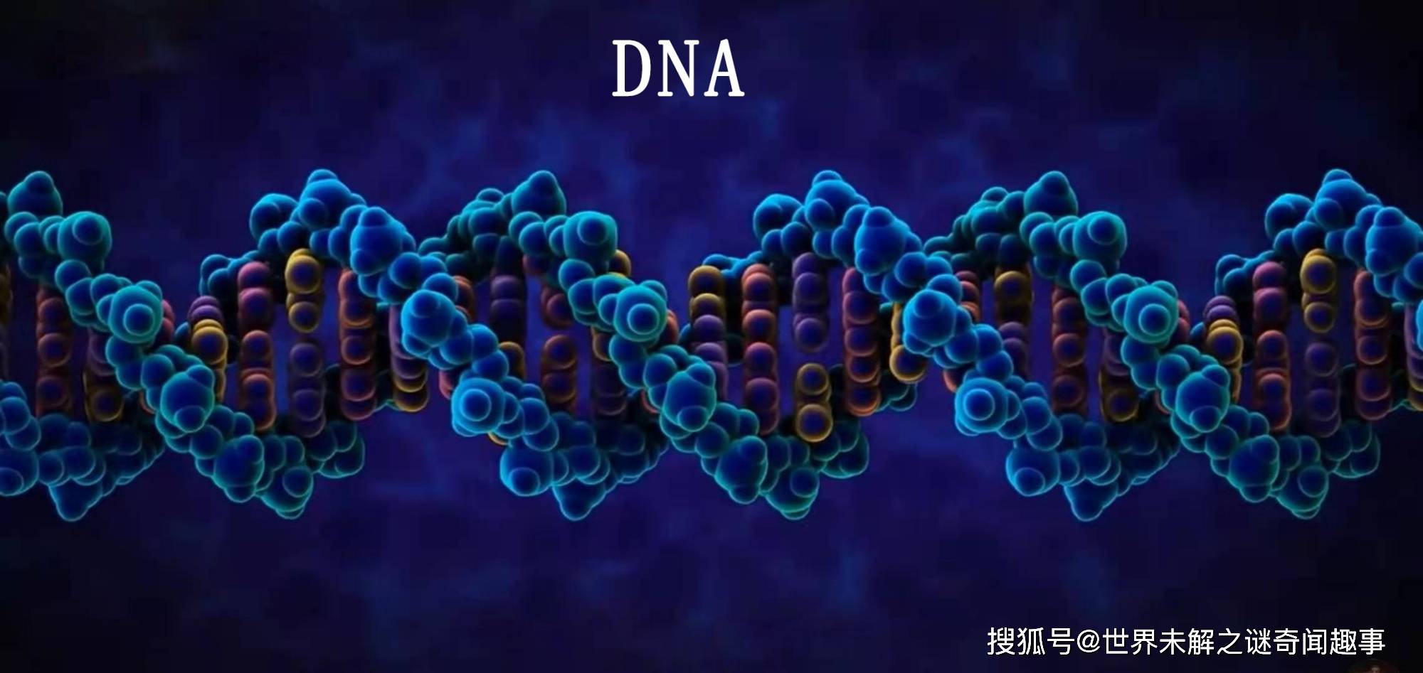 人類dna 95%被鎖?