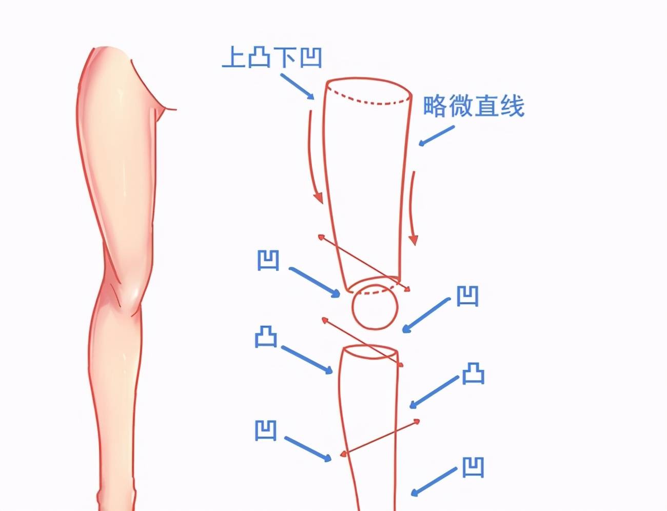 怎么画人物腿部结构？漫画绘画腿部画法 - 数英