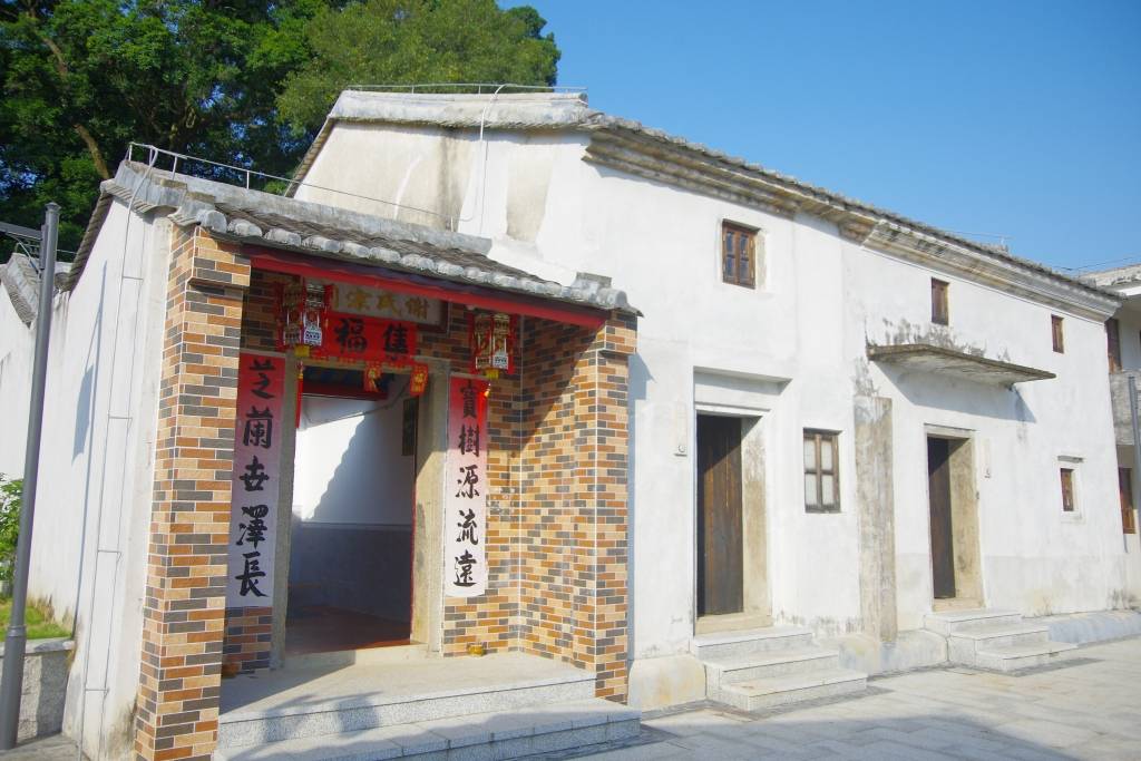 深圳坝光村掠影这里是山清水秀景丰林密的城市净土