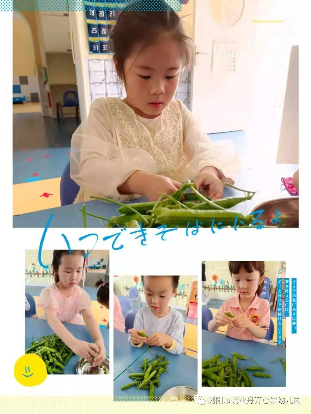 自己做寿司游戏 b4806aacec1746d6919749a4951378ea.jpeg