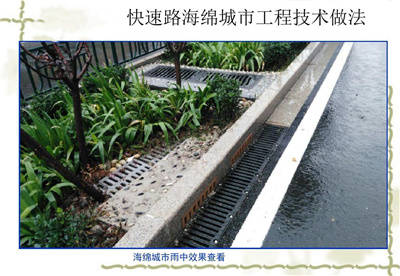 雨水收集系统涉及到城市雨水资源的科学管理 屋顶