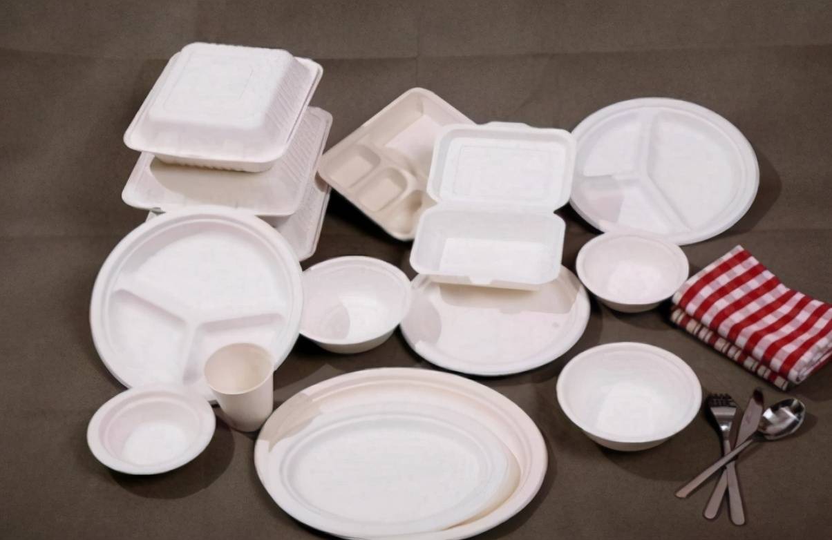 多环保品类 助力碳中和 可降解餐具产业发展亟待加速